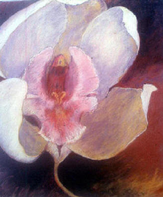 "Mother's Day Orchid"